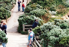 2000 - Australie 064T